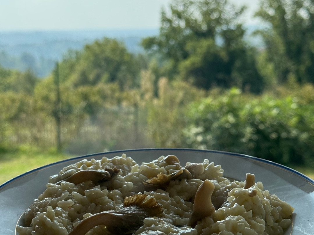 The Monferrato Farm-Maretto必去景点