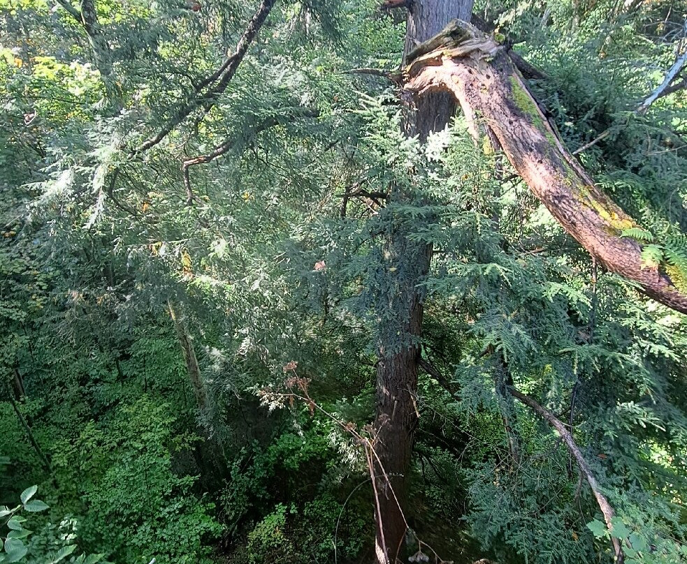 Shades State Park-Waveland必去景点
