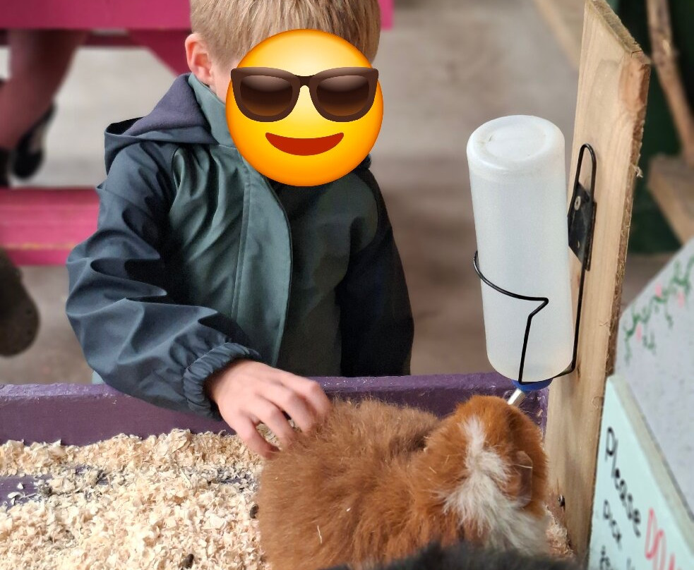 Cockfields Farm Park-Ashton-under-Lyne必去景点