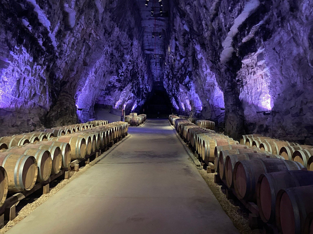 Terra Vinéa-Portel-des-Corbieres必去景点