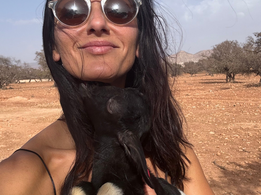 Morocco Journey-马拉喀什必去景点