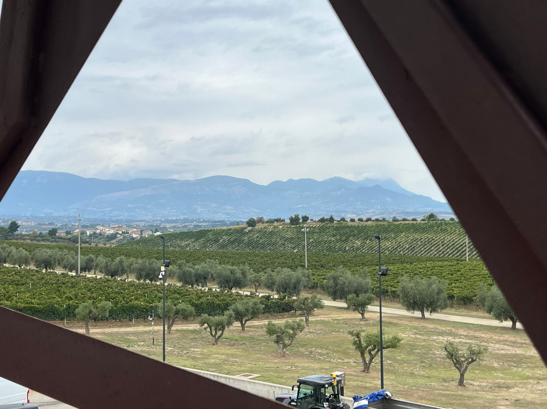 Cantina Marramiero-Rosciano必去景点