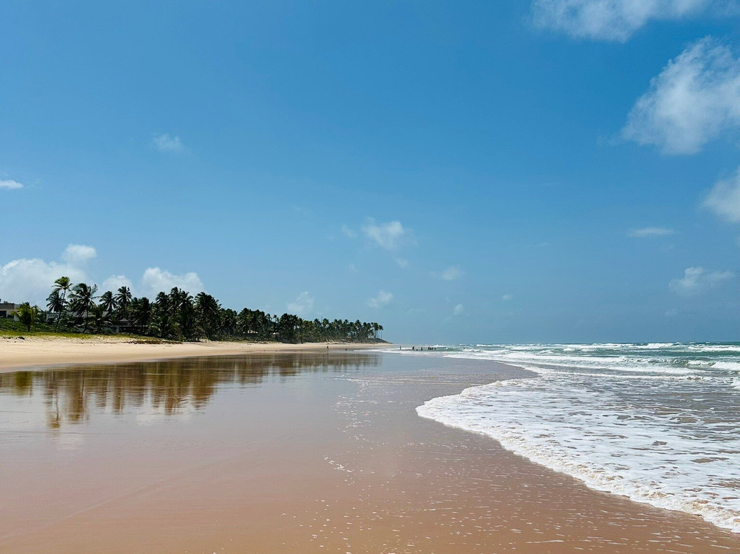 Praia do Cassange-Marau必去景点