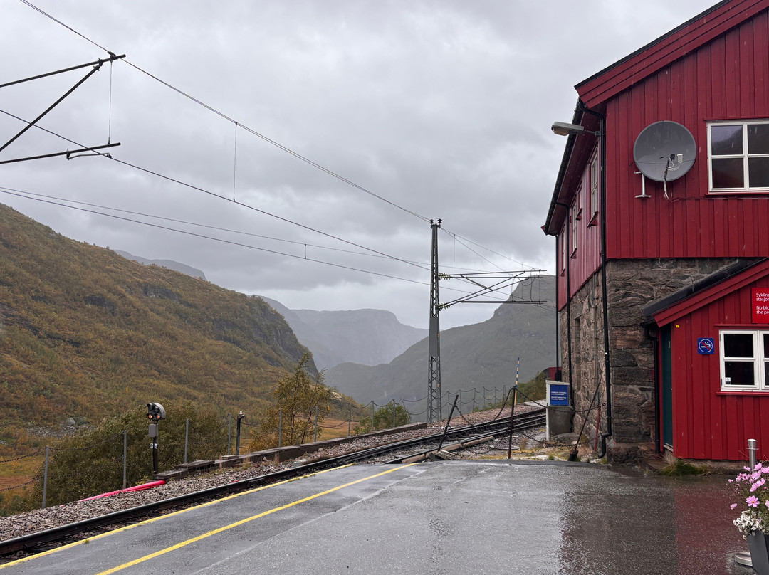 Myrdal Station-米达尔必去景点