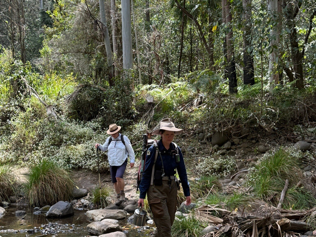 Australian Nature Guides-Carnarvon National Park必去景点
