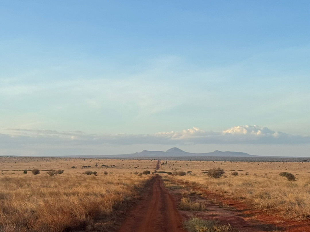 Garibaldi Safari Kenya-瓦塔木必去景点