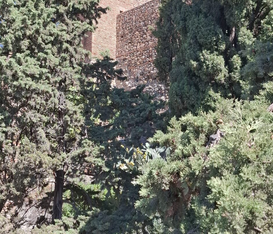 Mirador del Gibralfaro-马拉加必去景点