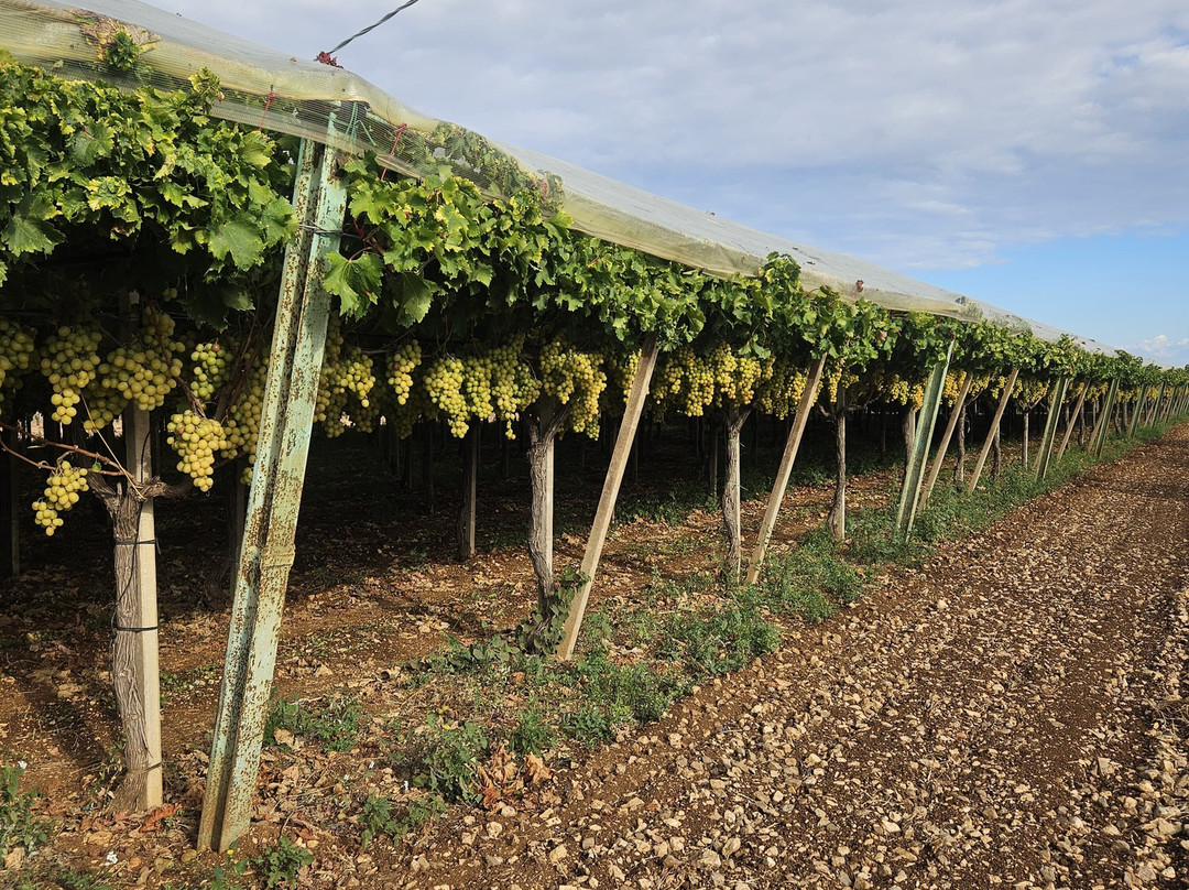 假日公寓酒店主图