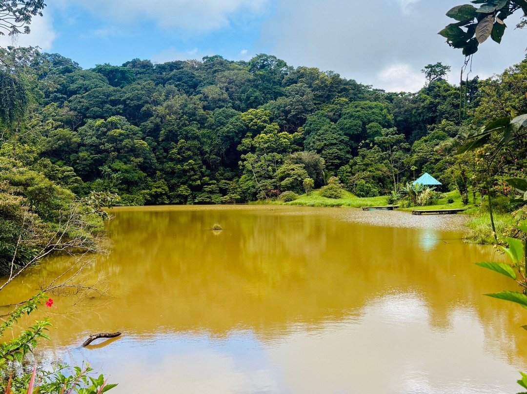 Lucky Bug B & B主图