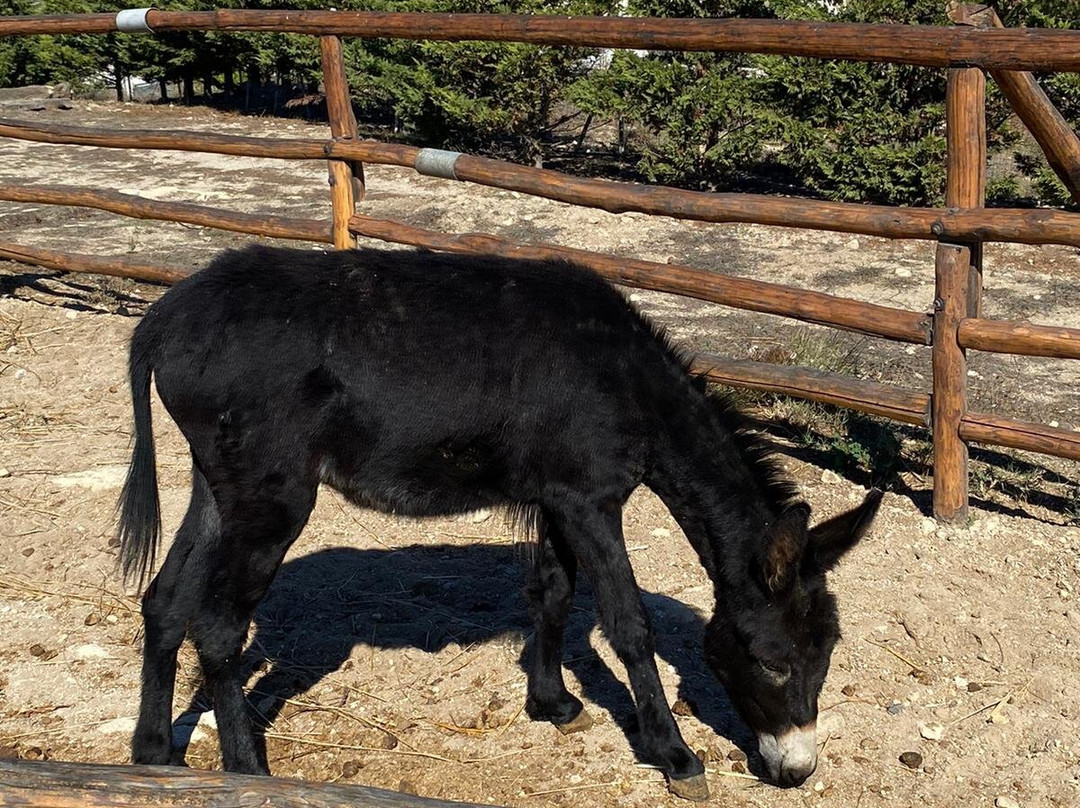 Windmill Kefalos-凯法洛斯必去景点