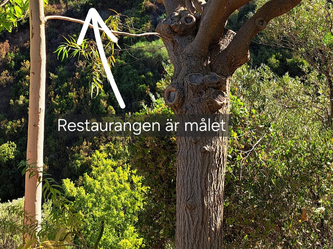 Botanical  Gardens Of Crete-Fournes必去景点