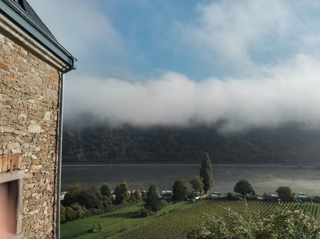 Reichenstein Castle-Trechtingshausen必去景点