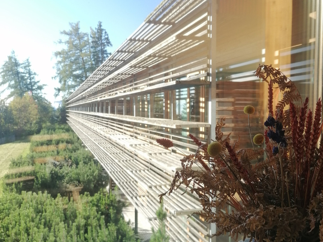 维吉露斯山度假酒店主图