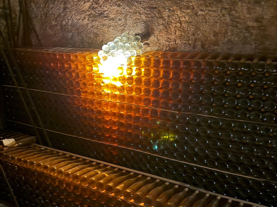 Domaine Albert Seltz-米特贝汉必去景点