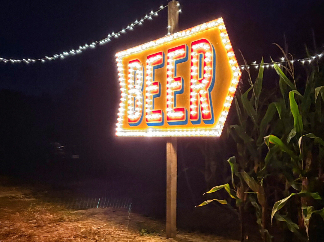 Mike's Maze-Sunderland必去景点