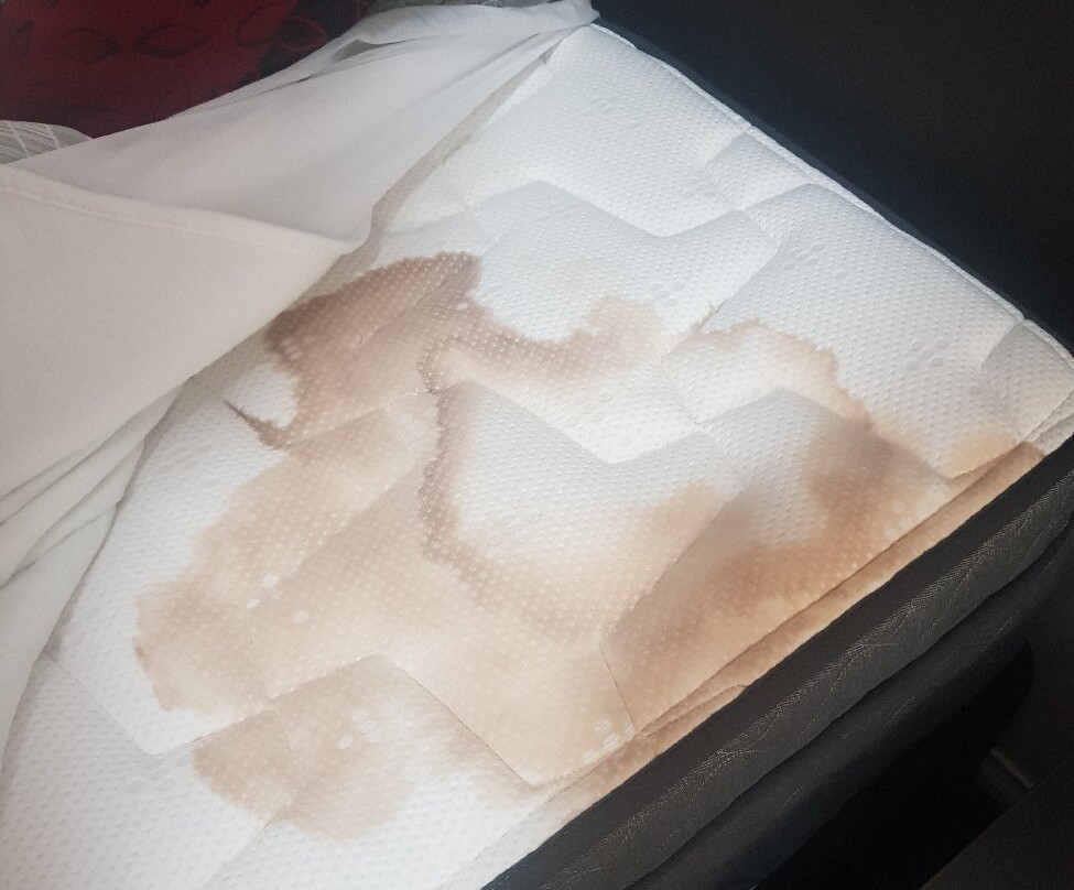 Comfort Inn & Suites Augusta Westside主图