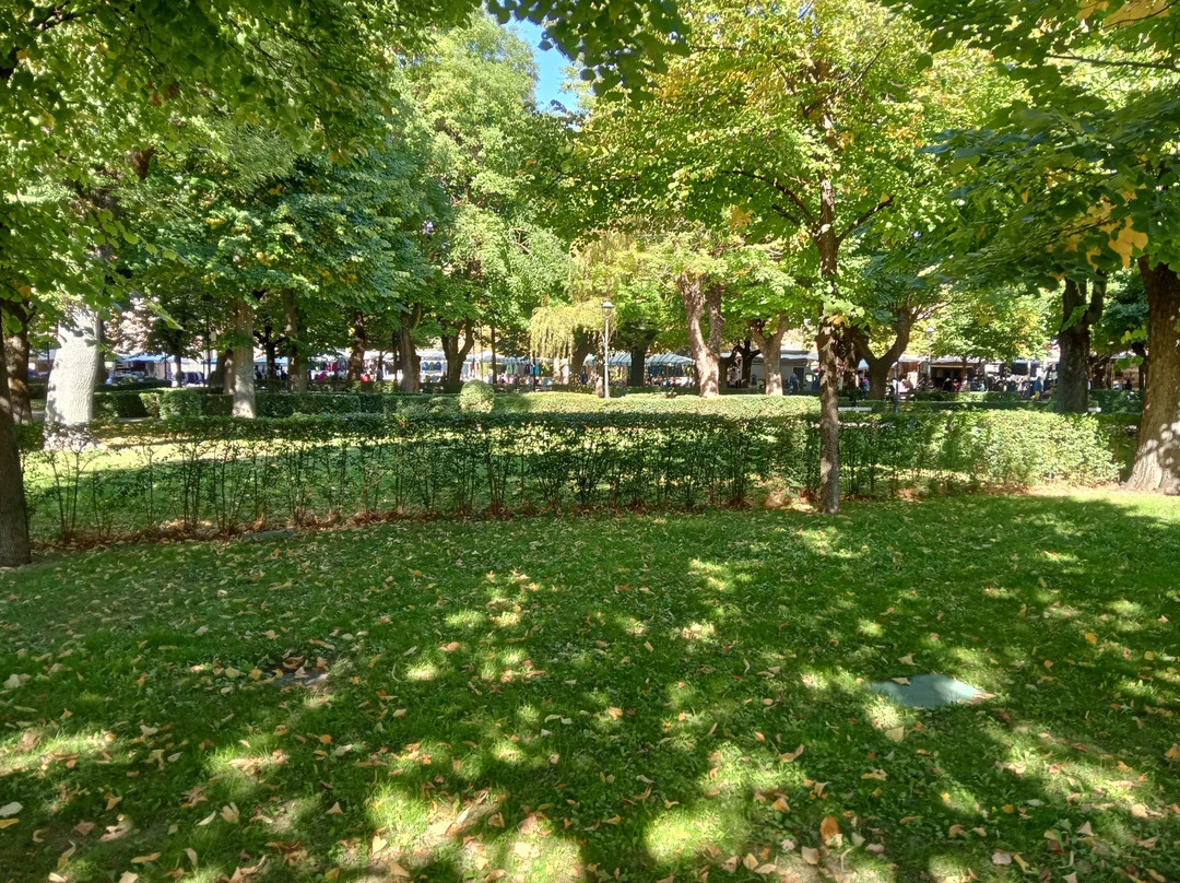 Parco Comunale