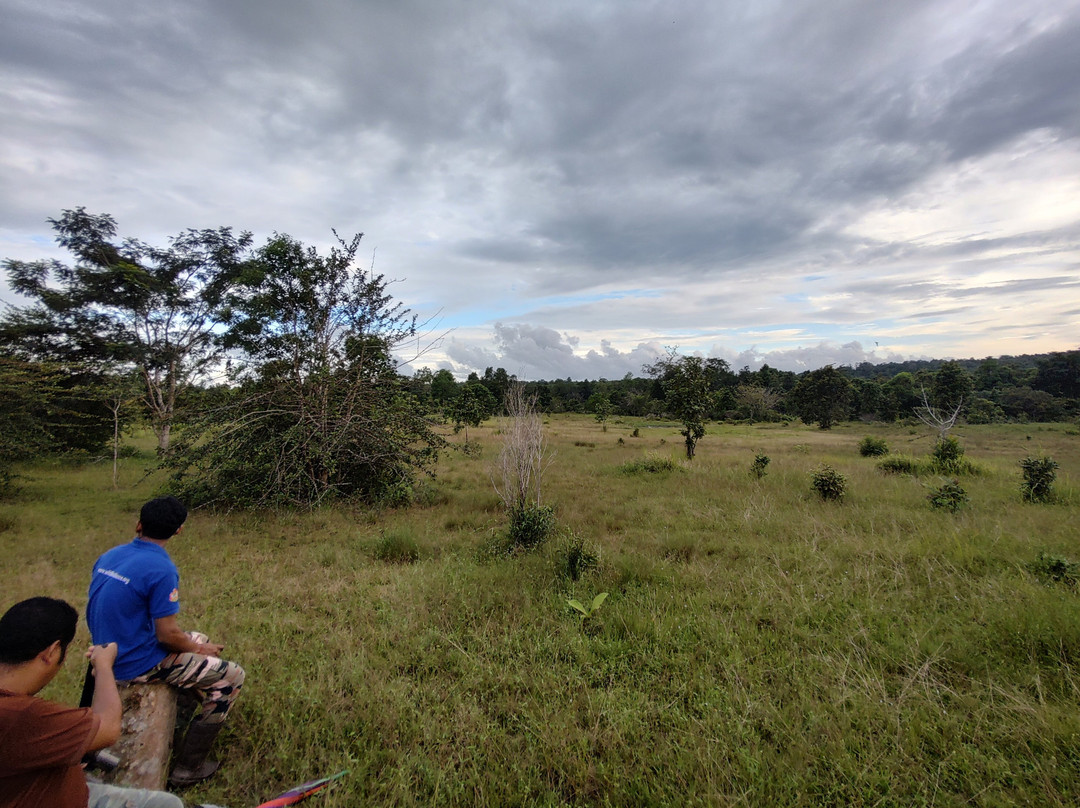 Wildlife Alliance-戈公必去景点