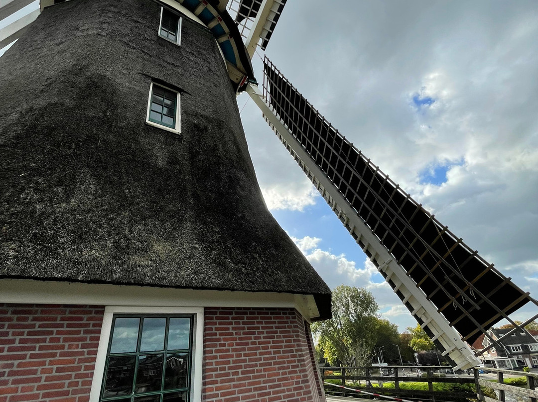 Molen Van Sloten-阿姆斯特丹必去景点