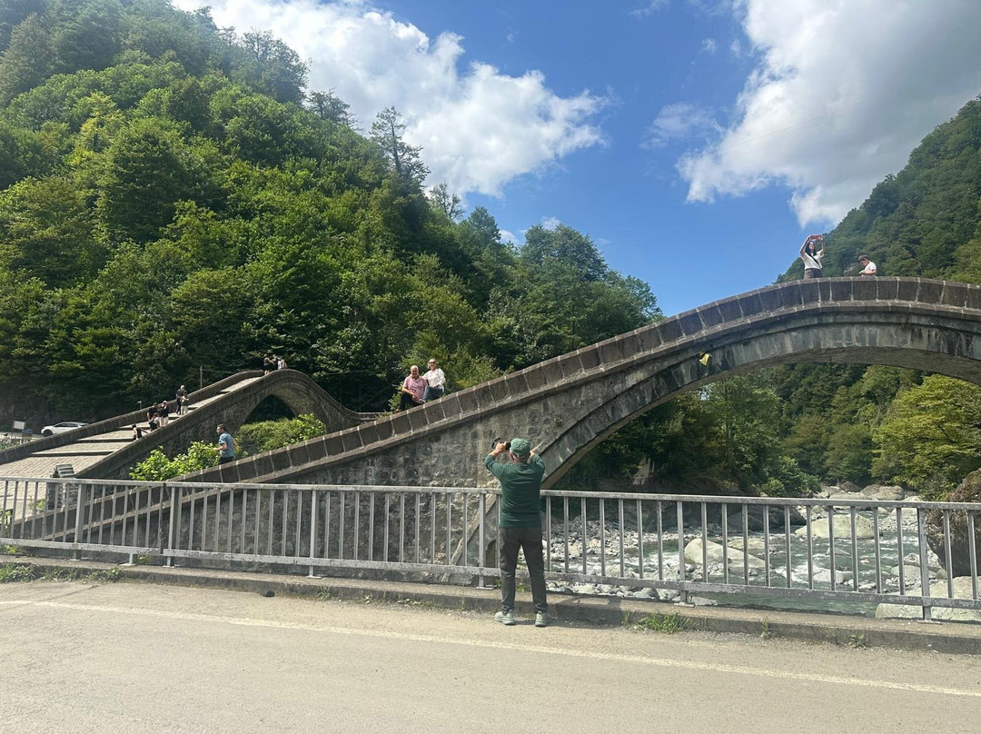 Twin Bridge-Artvin必去景点