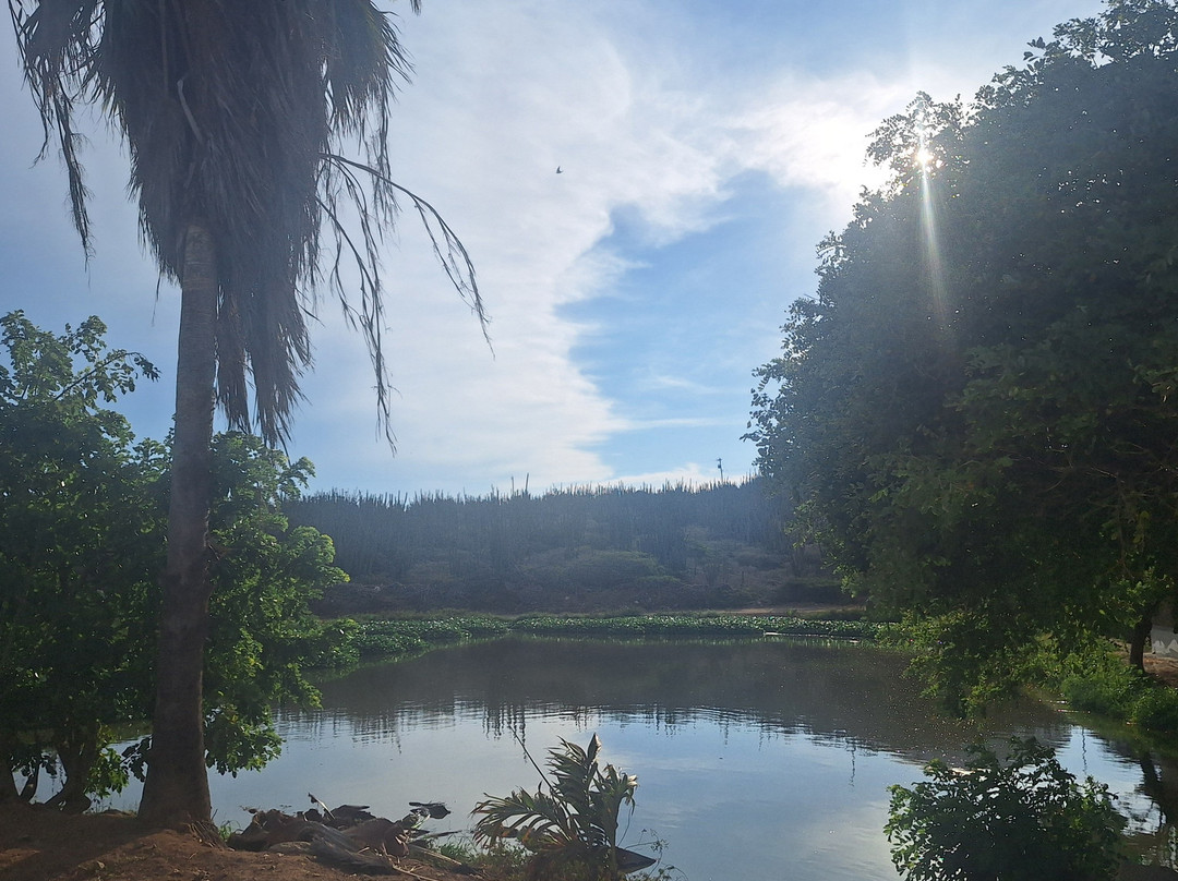 Alto Vista Winery-Noord必去景点