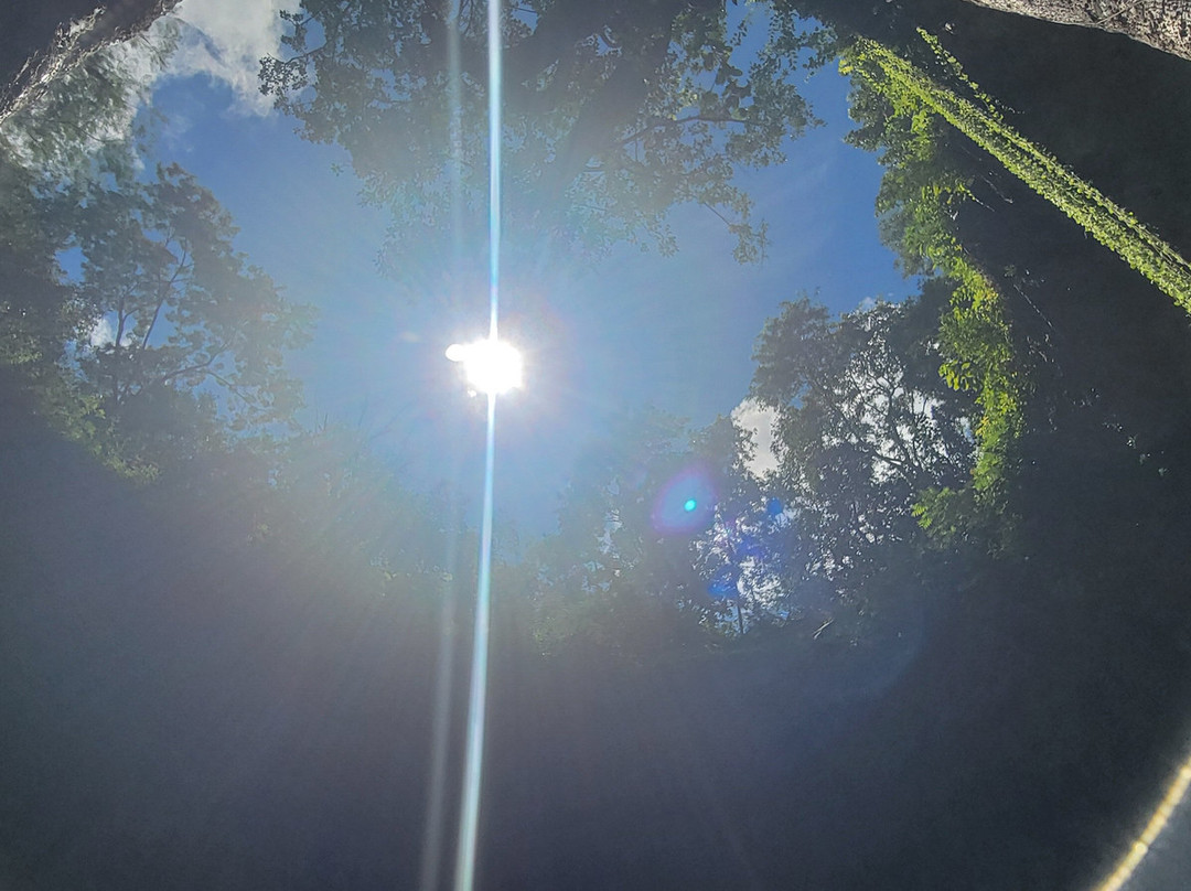 Premier Adventures-梅里达必去景点