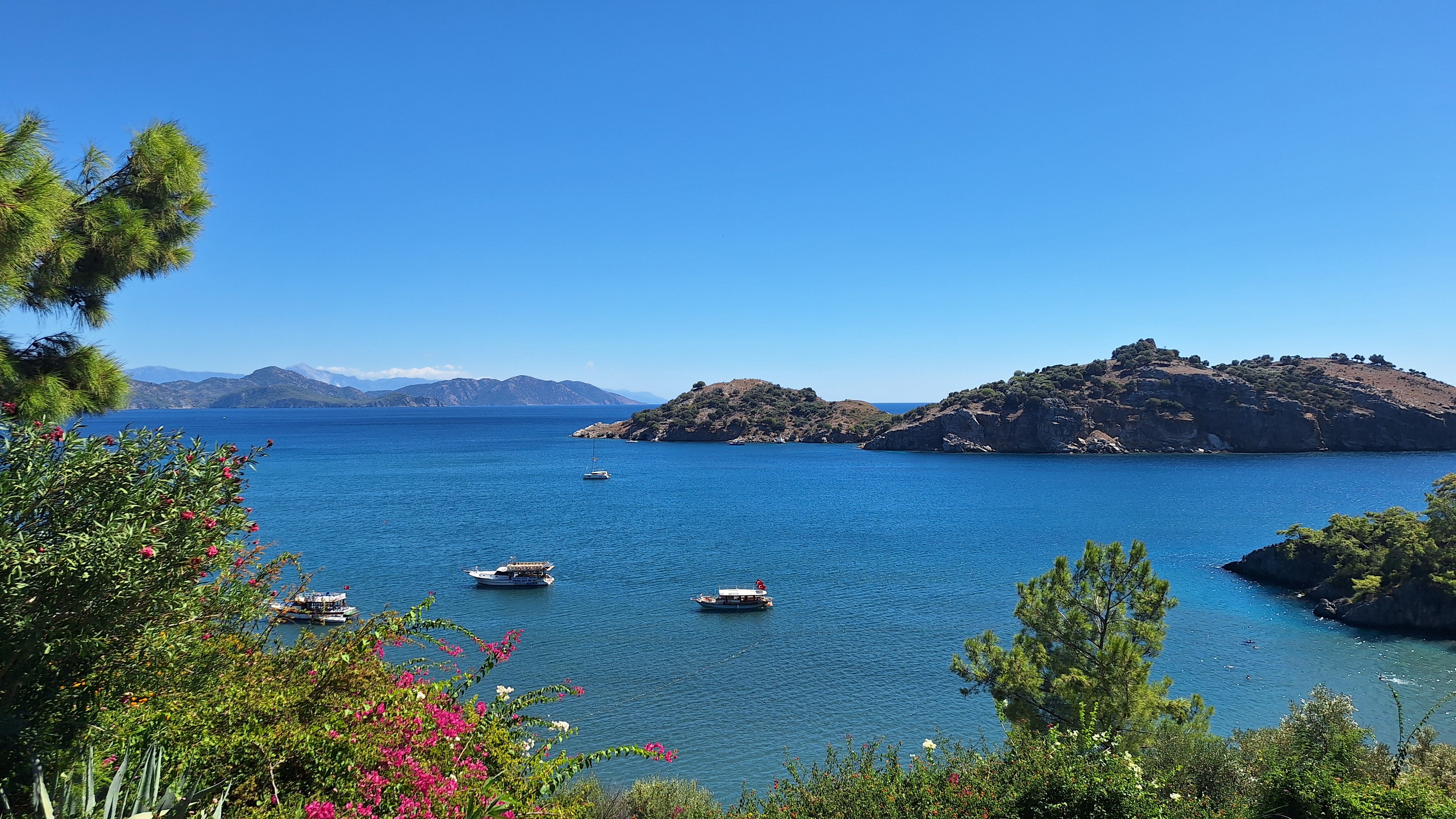 TUI Blue Seno-泳池