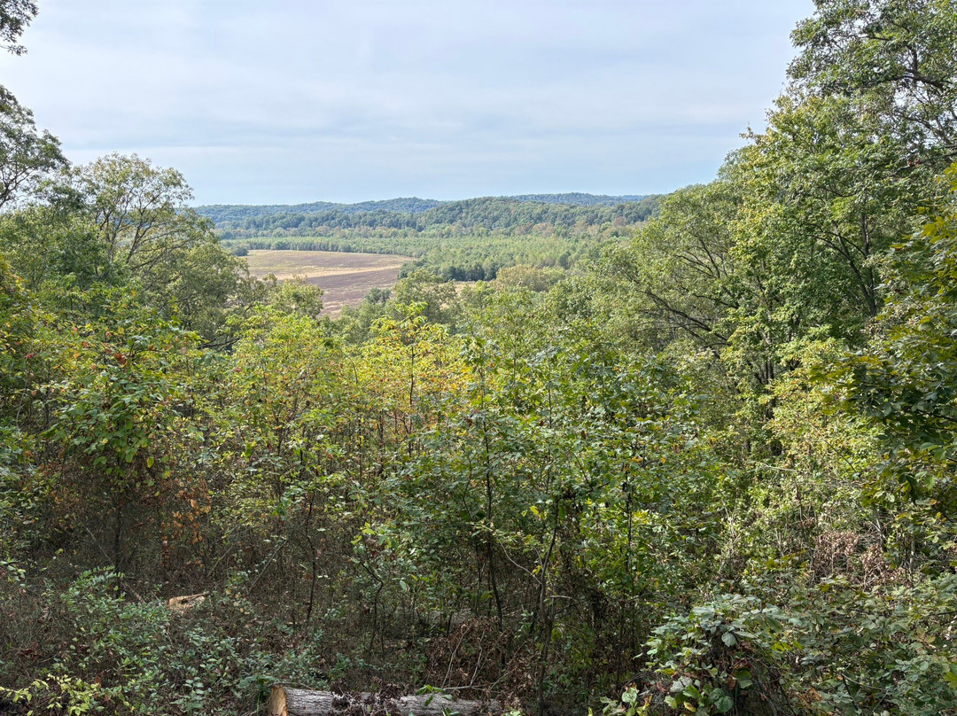 Overlook Park-Shoals必去景点