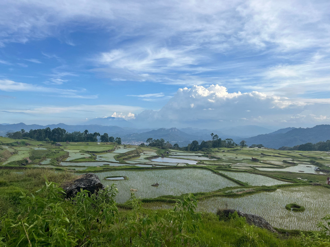 TORAJA UNIQUE-兰特包必去景点