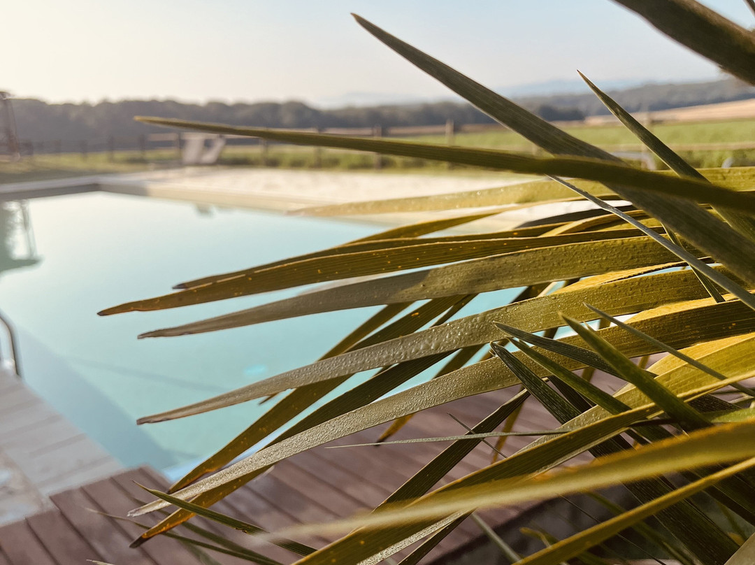 B&B El Ranxo Caldes de Malavella主图