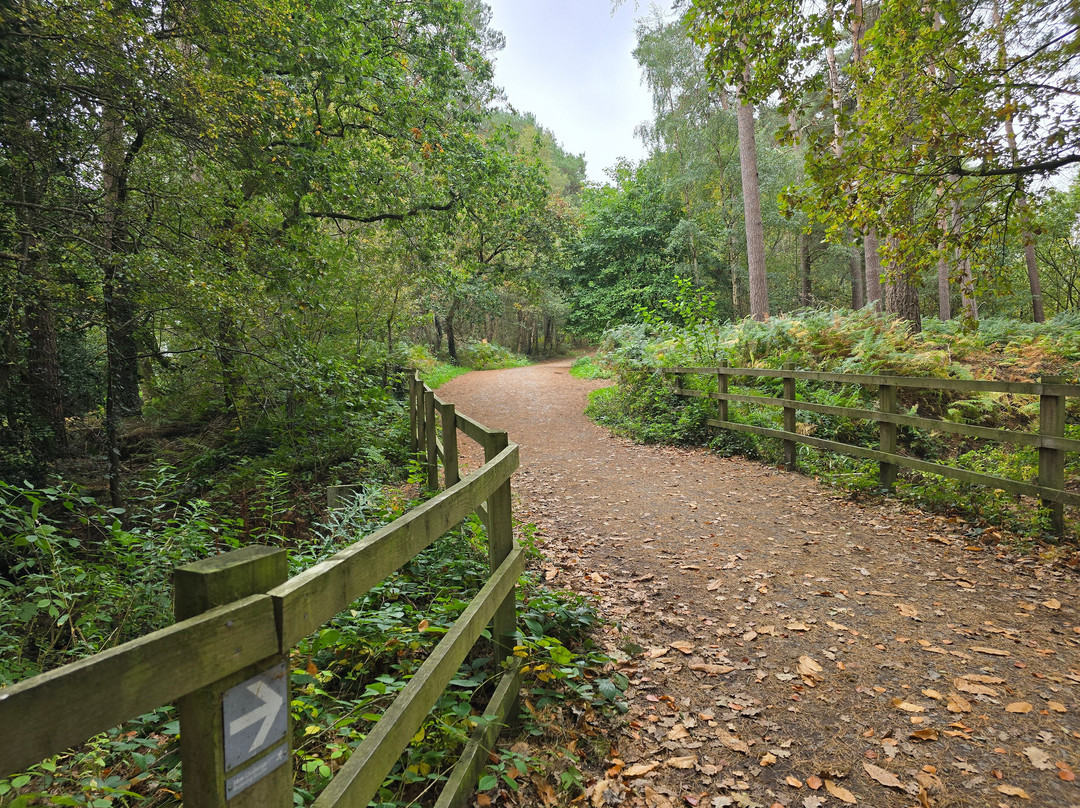 Delamere Forest-Delamere必去景点