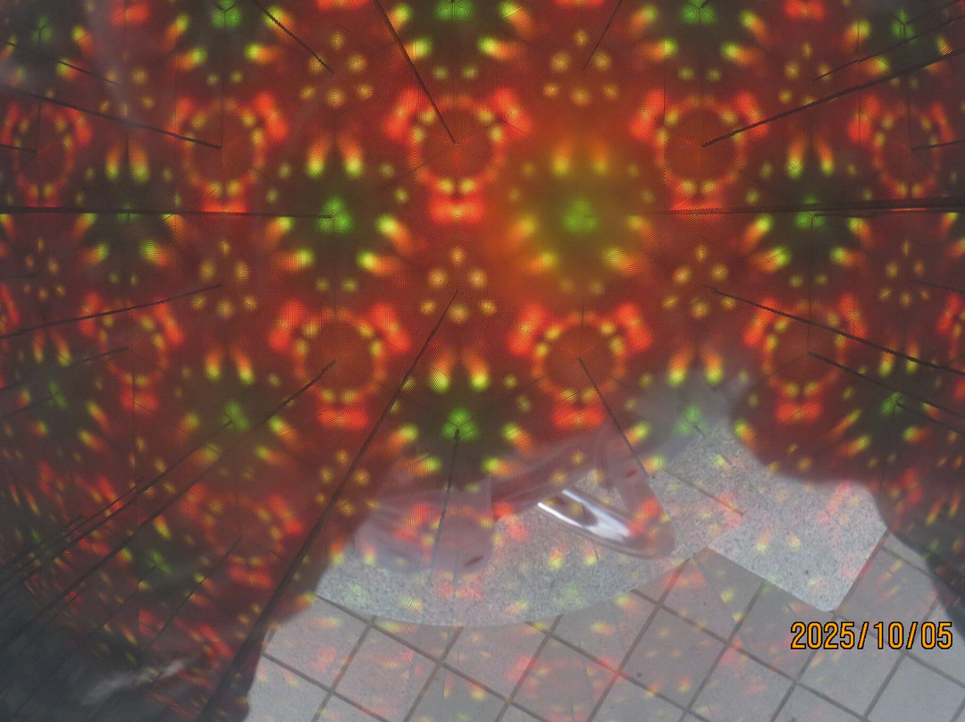 Bizan Ropeway Summit Observatory Deck-德岛市必去景点