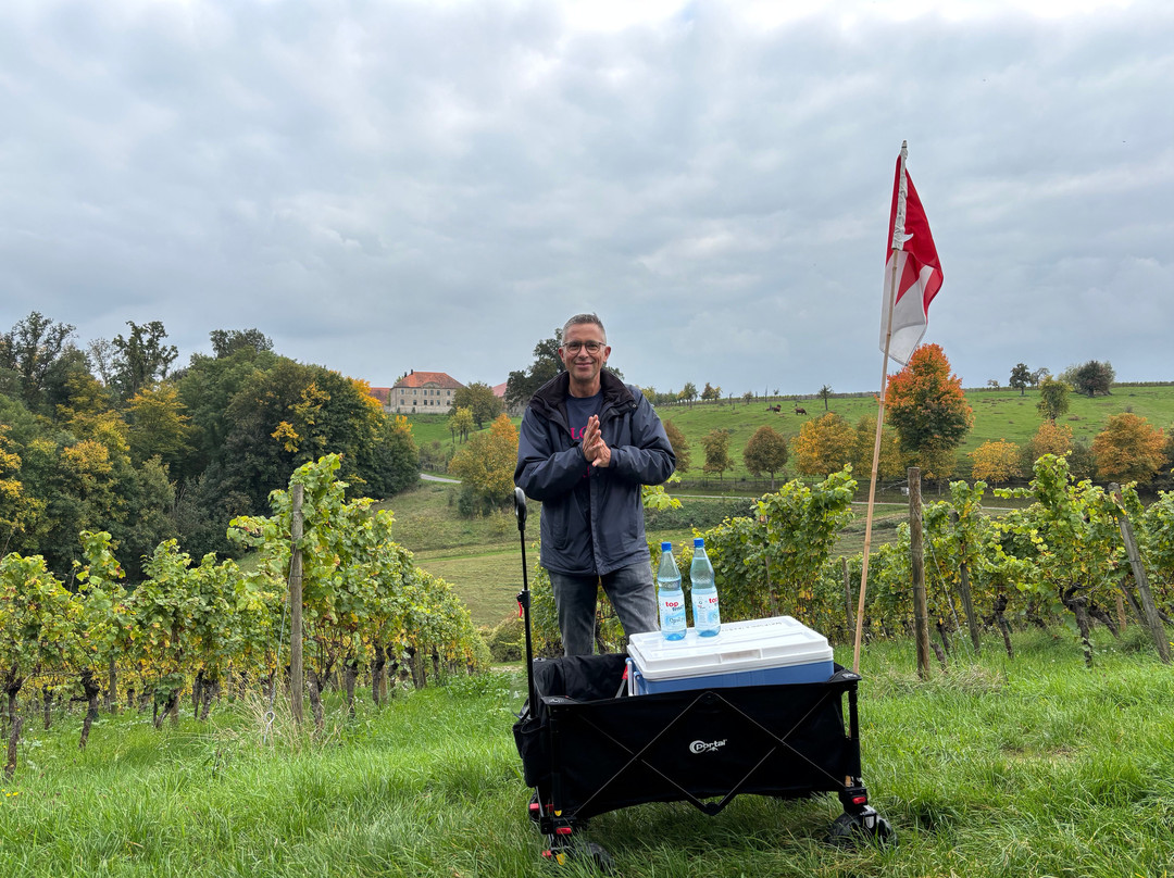 Weinspaziergang-维尔茨堡必去景点