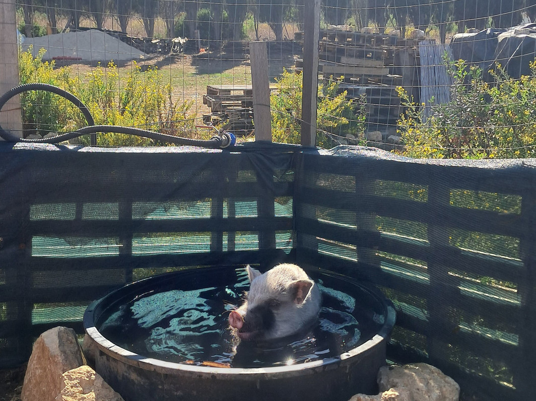 Rifugio Domo Mea-Olmedo必去景点