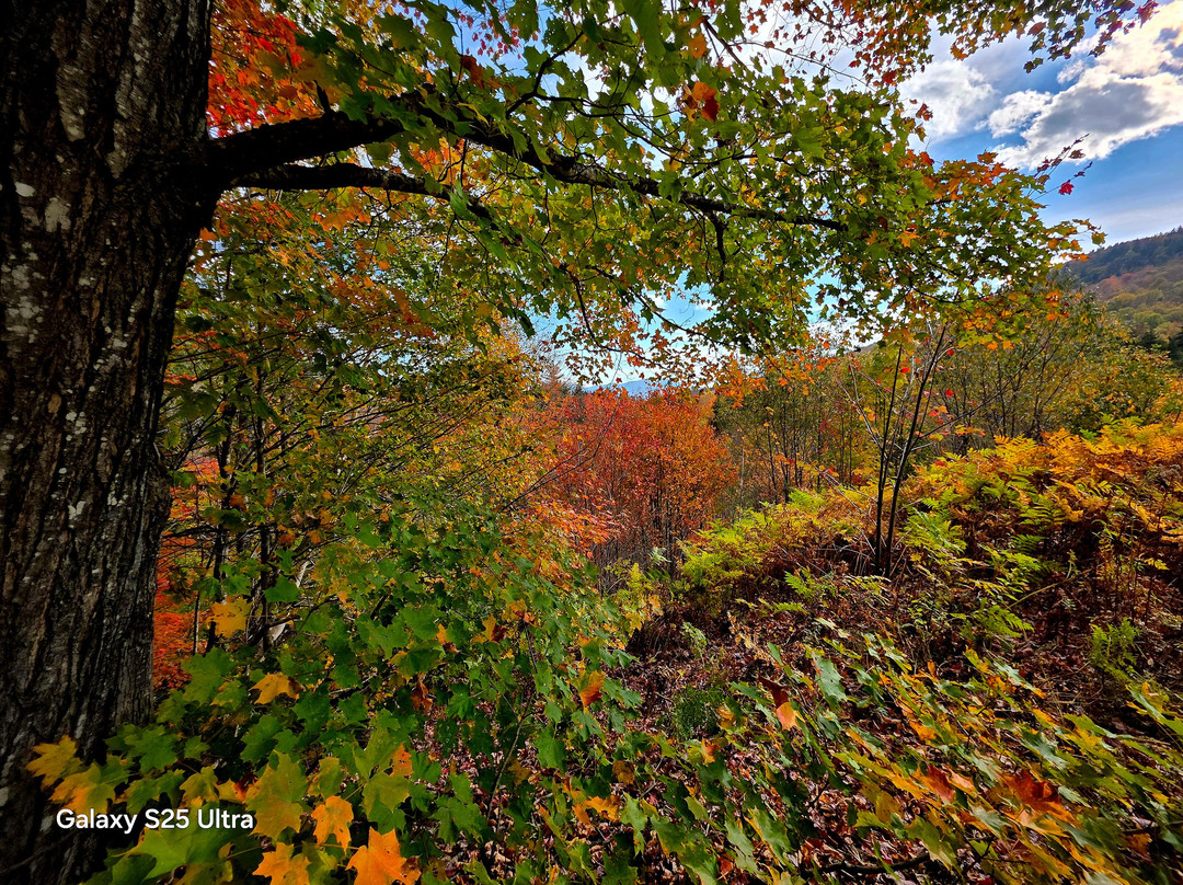 Eastern Slope Inn主图