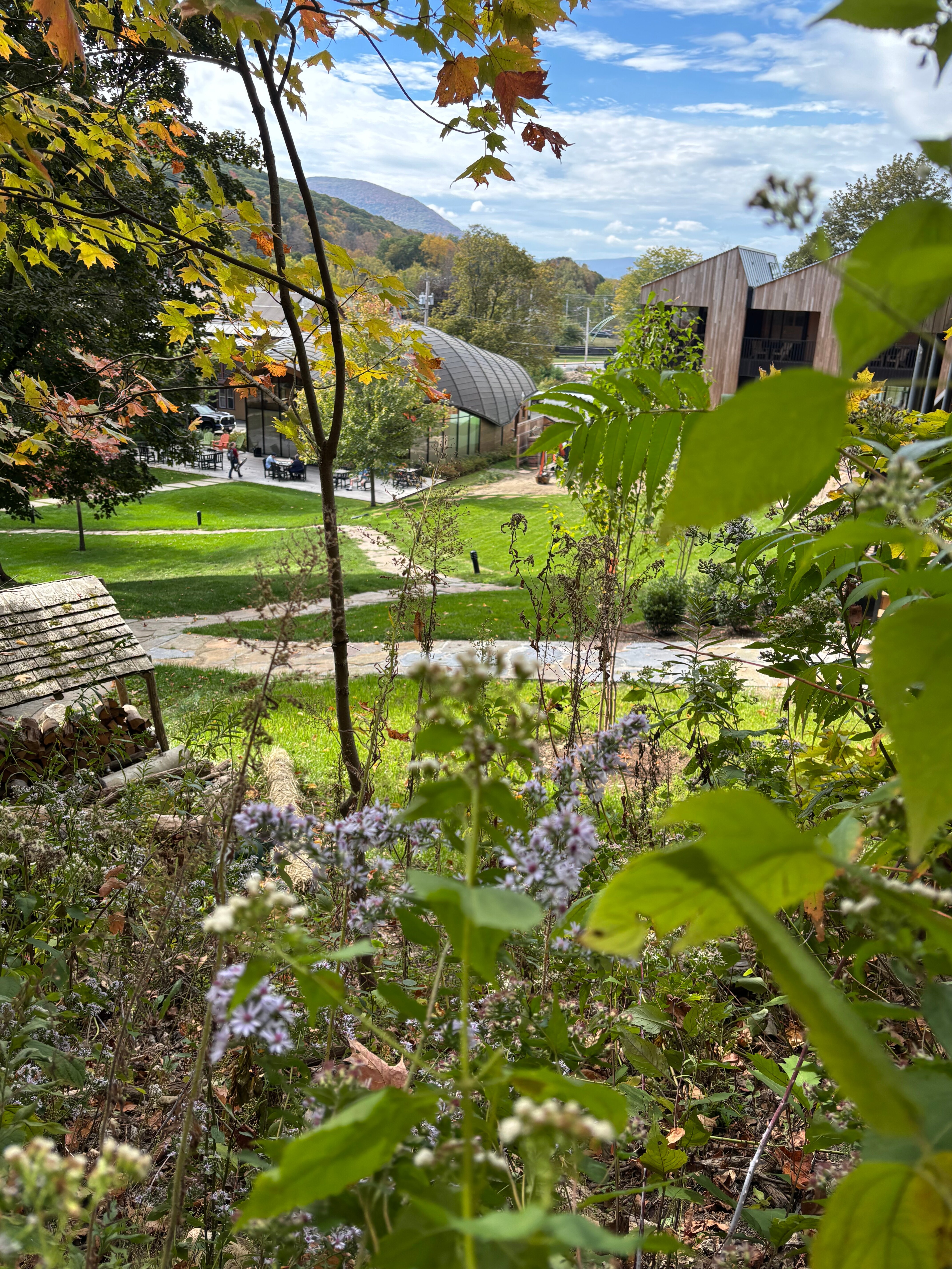 The Porches Inn at MASS MoCA-官方
