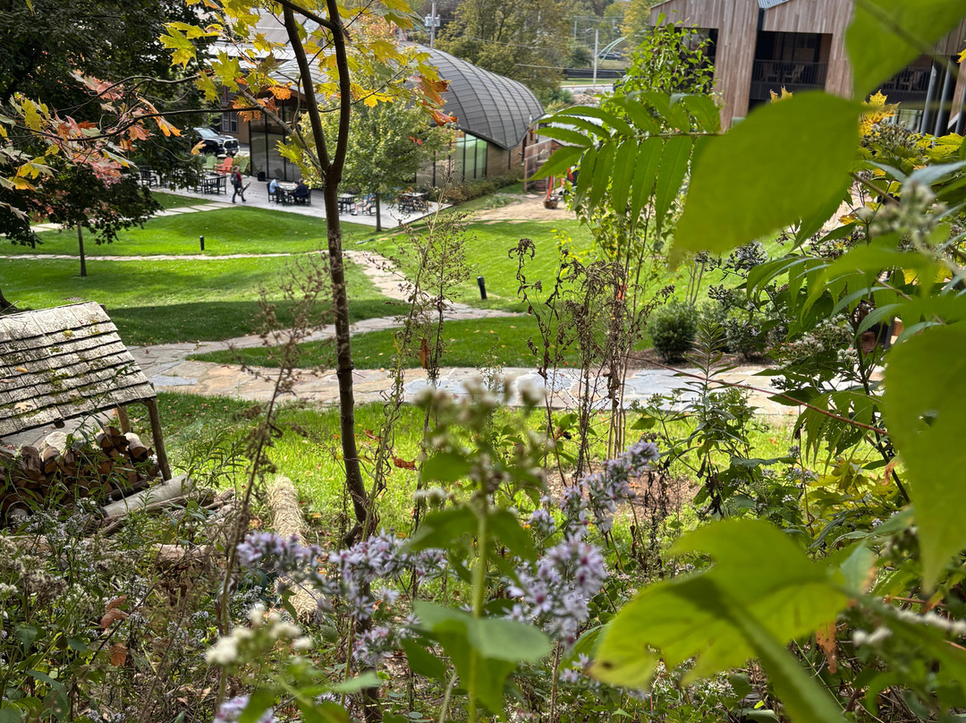 The Porches Inn at MASS MoCA主图