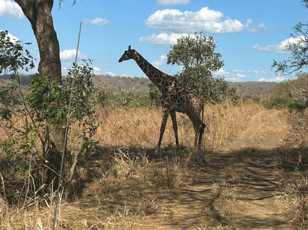 Dream Dhow Zanzibar-Kendwa必去景点