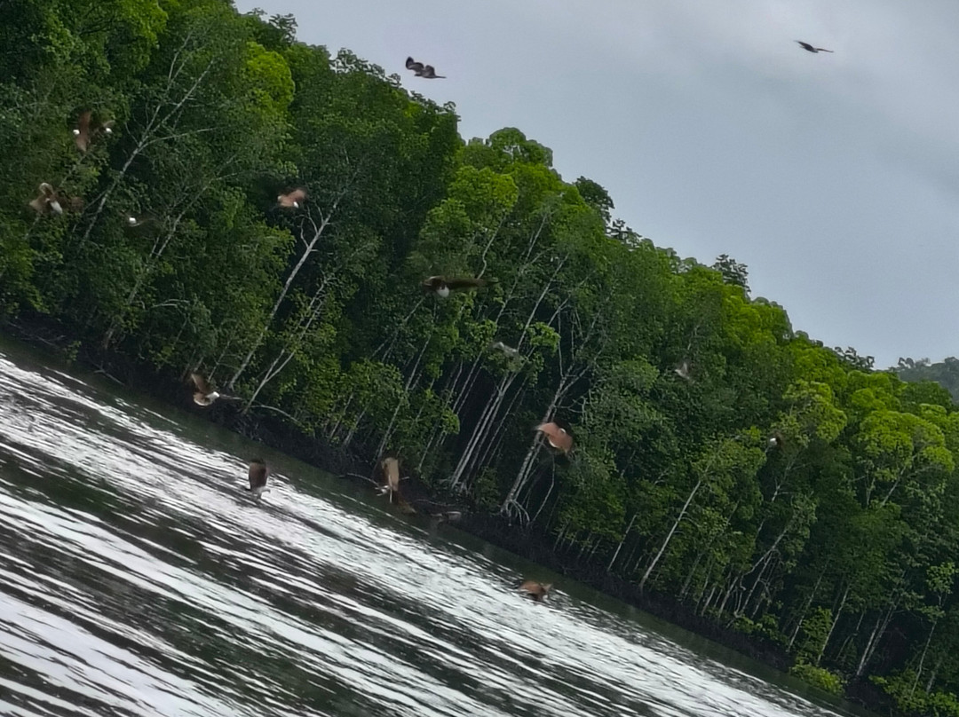 Langkawi Adventure & X-treme Park-兰卡威必去景点