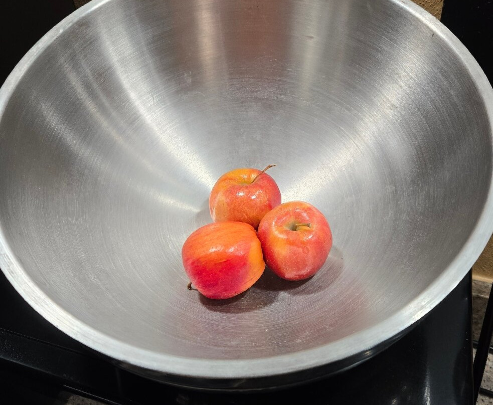 Best Western Plus Mishawaka Inn主图