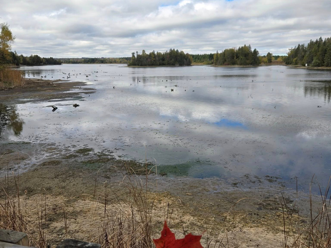 Island Lake Conservation Area-Orangeville必去景点