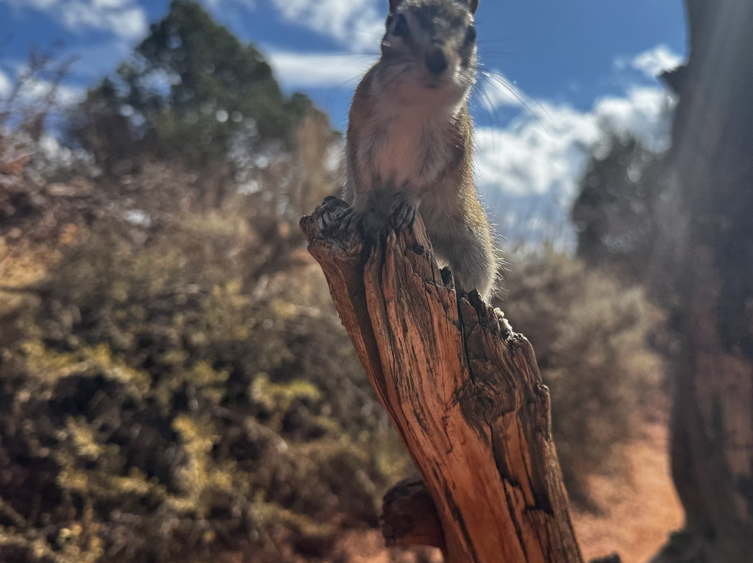 East Zion Adventures-Orderville必去景点