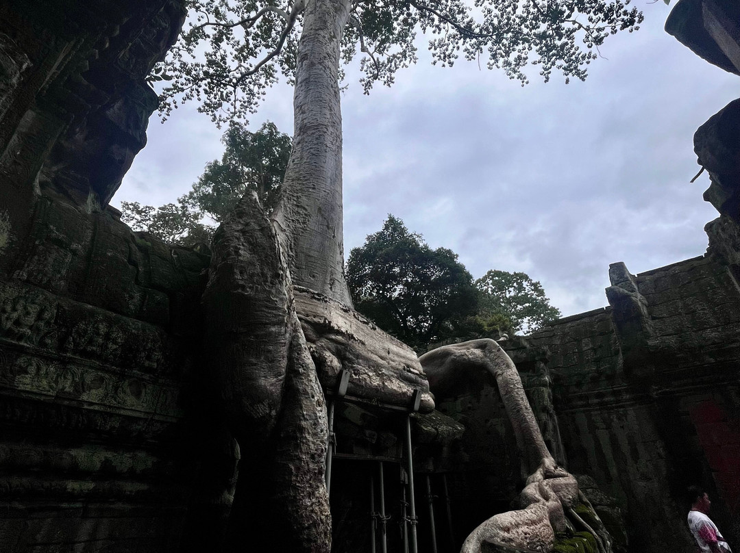 Ron Tuk Tuk Driver-暹粒必去景点