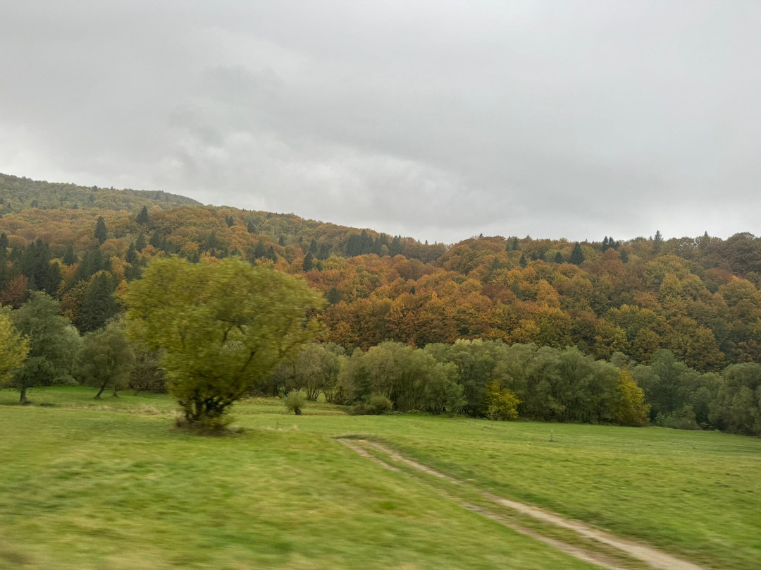 Tours in Romania-布加勒斯特必去景点