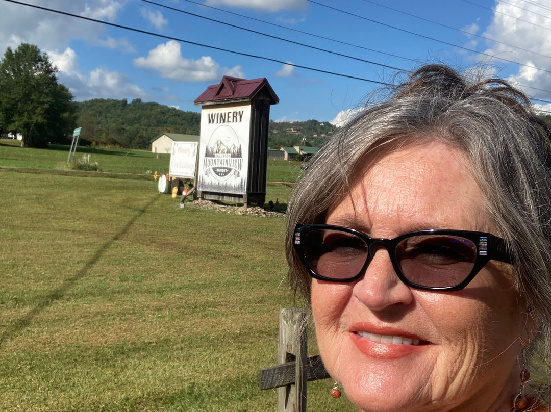 Tennessee Mountainview Winery-Wears Valley必去景点