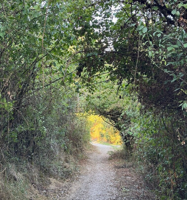 Rutas Meigas-圣地亚哥德孔波斯特拉必去景点