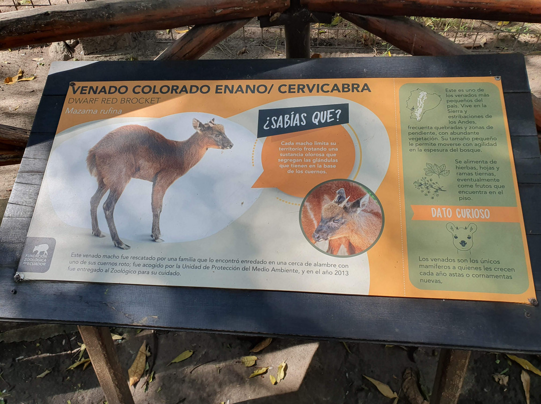 Zoologico de Quito-Guayllabamba必去景点