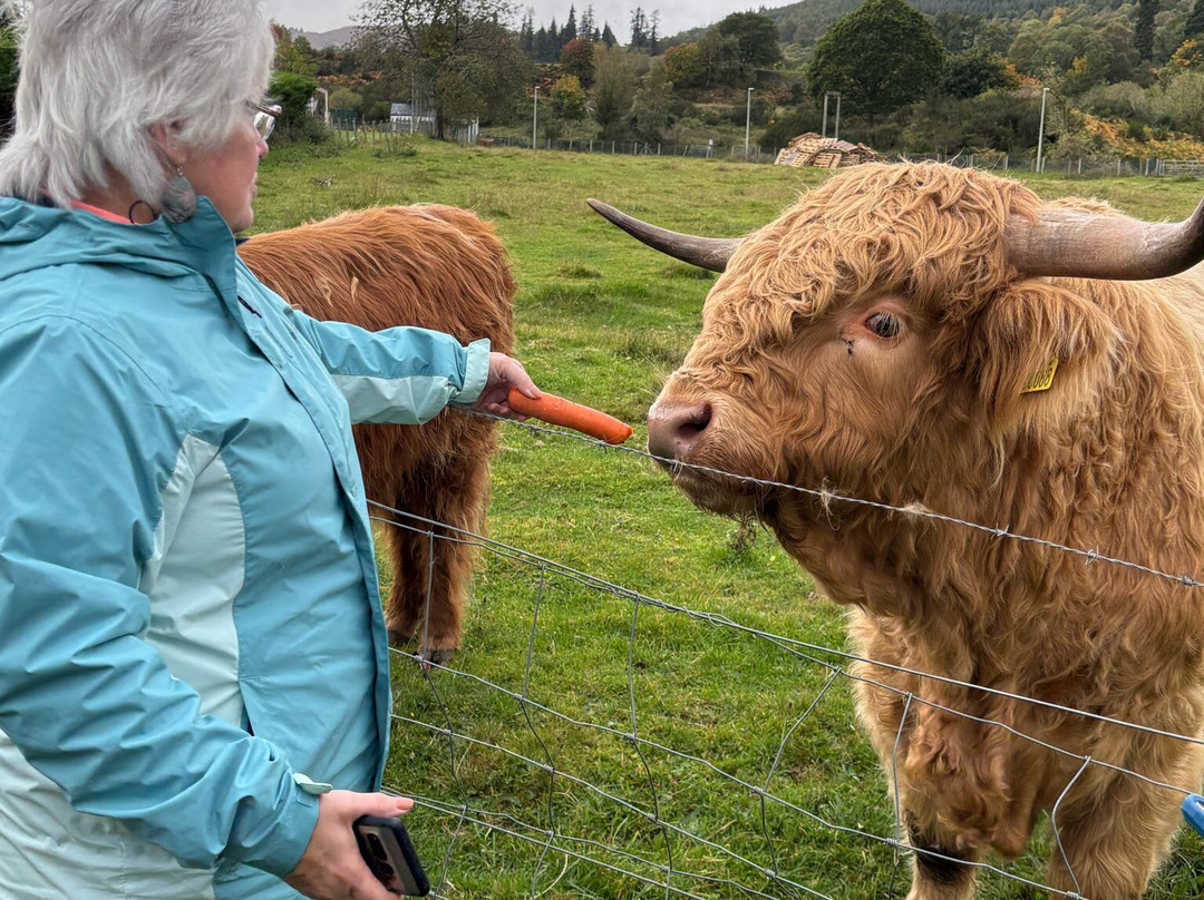 Best Scottish Tours-达农必去景点
