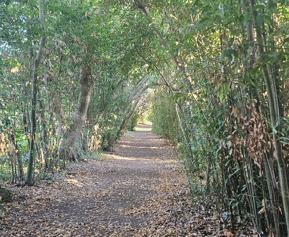 Isola Bisentina-Capodimonte必去景点