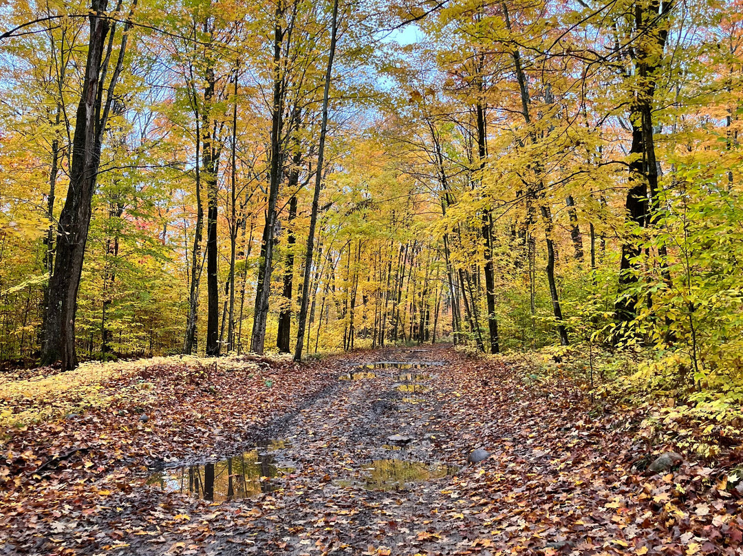 Beaver ATV Rental-Drummond Island必去景点